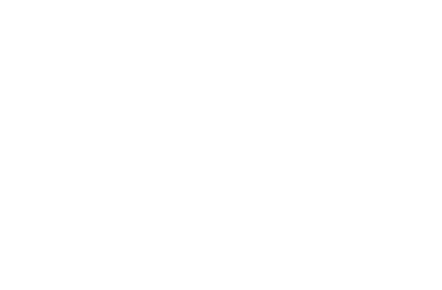 DSA_logo_01_white